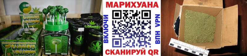 Canna-Cookies марихуана  Купить закладки  Избербаш 