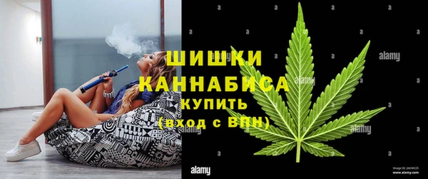 индика Балабаново