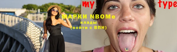 индика Балабаново